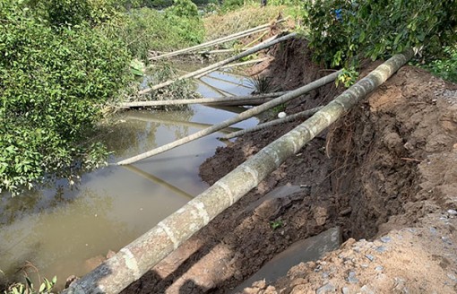 Cần Thơ: Khẩn trương khắc phục sạt lở ở quận Cái Răng