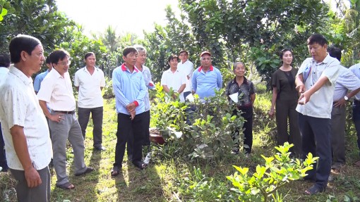 Lãnh đạo huyện Phú Tân họp mặt nông dân tiêu biểu