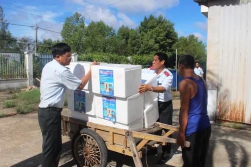 Bạc Liêu: Lần đầu tiêu hủy hơn 570.000 con tôm giống không qua kiểm dịch