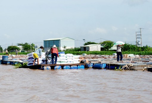 Tăng cường kiểm soát ô nhiễm, bảo vệ môi trường