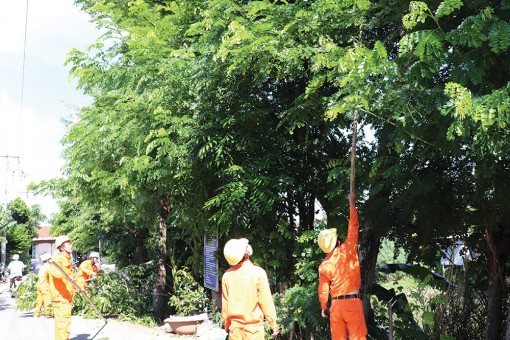 Chủ động ứng phó trước thiên tai
