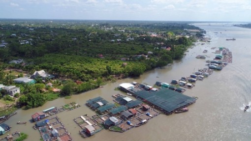 Long Hồ đi lên từ lợi thế