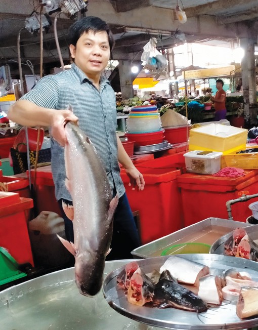 Tiêu thụ cá tra qua kênh nội địa