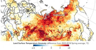 LHQ vào cuộc xác minh đợt nóng kỷ lục 38 độ C ở Siberia