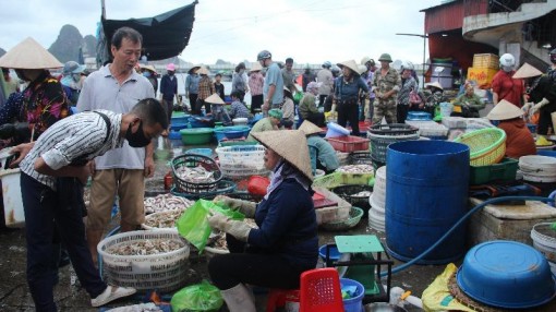 Nhộn nhịp chợ cá Bến Do