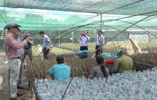 Văn phòng điều phối nông thôn mới Trung ương kiểm tra tại Chợ Lách