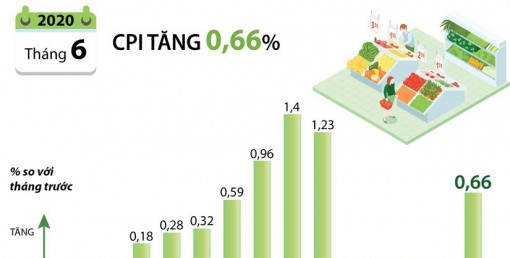 Chỉ số giá tiêu dùng tháng Sáu tăng 0,66%