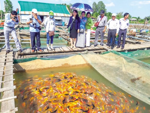 Cần Thơ: Năng động vượt khó, tăng tốc phát triển