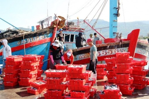 554 tàu cá ở Đà Nẵng đã lắp đặt thiết bị giám sát hành trình