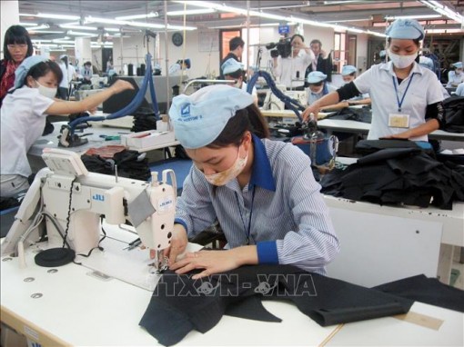 EVFTA sẽ có hiệu lực từ 1-8