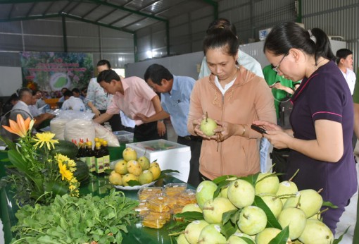 Bến Tre: Đột phá trong phát triển thương mại điện tử