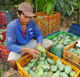 Tạo sự đồng thuận để phát triển quê hương