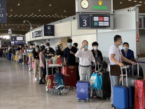 Việt Nam không ghi nhận ca mắc mới COVID-19 trong 12 giờ qua, tổng số vẫn là 355 ca