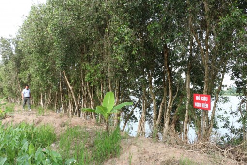 Long An: Tập trung đóng cửa mỏ các hầm đất