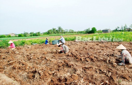 TP. Bạc Liêu: Sôi nổi các phong trào thi đua yêu nước