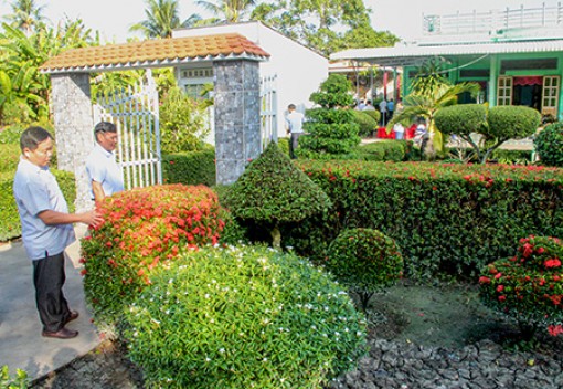 Đổi thay ở vùng đất phèn, mặn