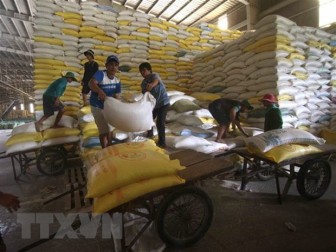 Mưa dai dẳng cản trở vụ thu hoạch, giá gạo của Việt Nam tăng