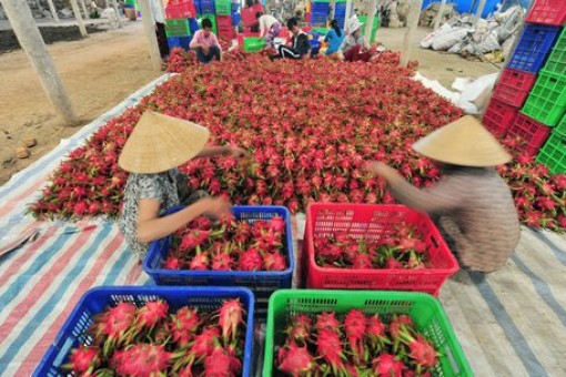 Điểm sáng xây dựng nông thôn mới ở Vĩnh Long