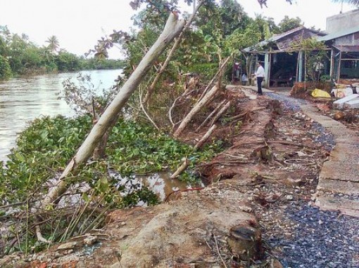 Để hạn chế sạt lở bờ sông trong mùa mưa, lũ