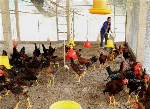 Nhiều sản phẩm chủ lực nâng cao cạnh tranh