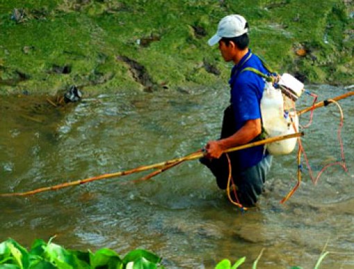 Kiểm tra, xử phạt khai thác thủy sản bằng ngư cụ cấm