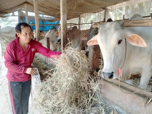 Tái cơ cấu nông nghiệp, mừng thì nhiều nhưng lo chẳng ít