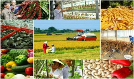 Phát triển dịch vụ tài chính mới phù hợp với khu vực nông thôn