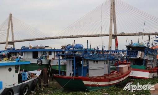 Cần sớm đưa Khu neo đậu tàu thuyền vào hoạt động