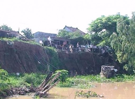 Sạt lở bờ sông Cái Vừng ảnh hưởng hơn 2.000 hộ