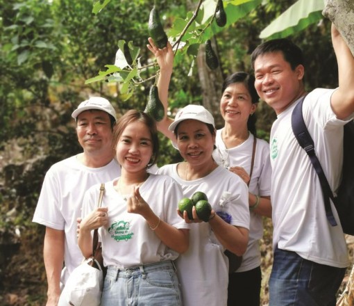 An Giang khai thác du lịch sinh thái vườn