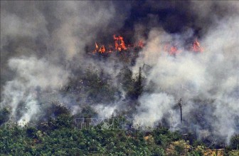 Brazil cấm sử dụng lửa cho mục đích nông nghiệp trong 120 ngày