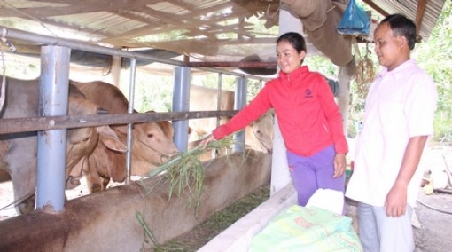 Vĩnh Long: Đột phá công tác giảm nghèo trong đồng bào Khmer