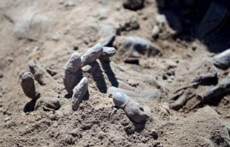Phát hiện hố chôn tập thể chứa hàng chục thi thể ở Mexico