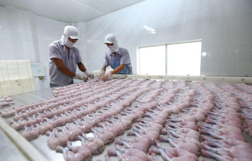 Lấp lỗ hổng trong thực thi các hiệp định thương mại tự do