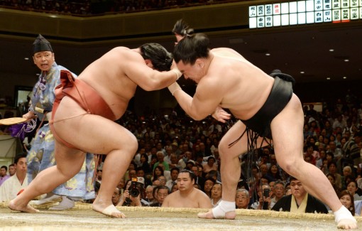 Nhật Bản nối lại giải đấu sumo có khán giả