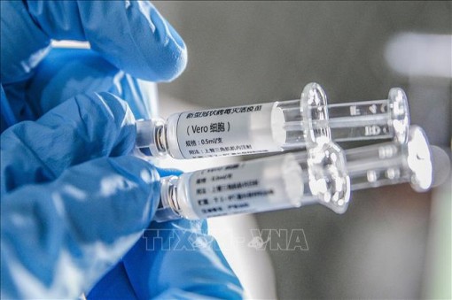 Hoạt động bào chế vaccine phòng COVID-19 trên thế giới tiến triển tích cực