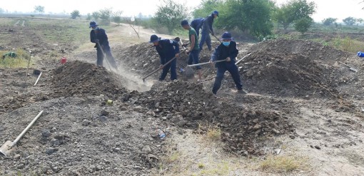 Đưa các anh về đất mẹ