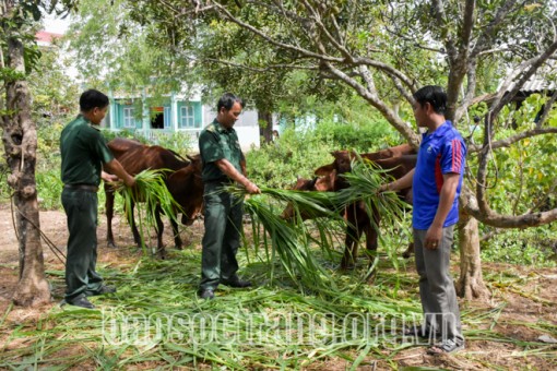Bộ đội Biên phòng Sóc Trăng gắn bó, nghĩa tình cùng nhân dân khu vực biên giới biển