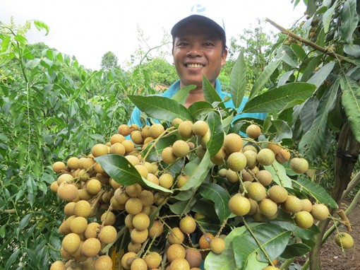 Đồng Tháp: Xu hướng tất yếu giúp nâng cao giá trị gia tăng và phát triển bền vững