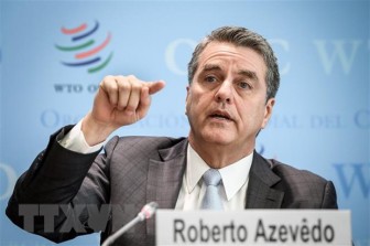 Tổng Giám đốc Roberto Azevedo: WTO phải đối mặt với áp lực khủng khiếp