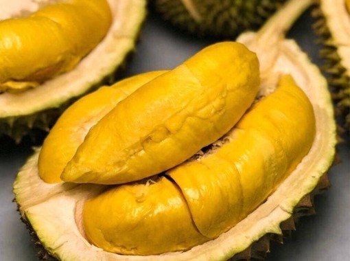 Xây dựng thương hiệu sầu riêng Việt Nam