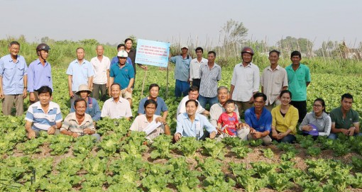 Giúp nông dân ứng dụng khoa học - kỹ thuật vào sản xuất