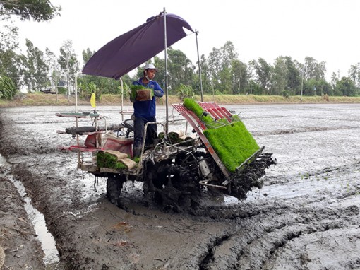 Công nghệ sau thu hoạch giúp khai thác tốt tiềm năng ngành hàng lúa gạo