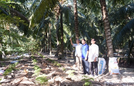 Bến Tre: Đảm bảo nguồn vốn cho phục hồi và tăng trưởng kinh tế