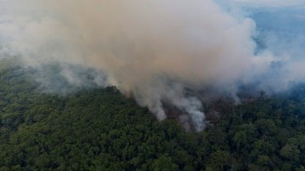 Báo động cháy rừng ở Brazil tăng so với cùng kỳ năm ngoái