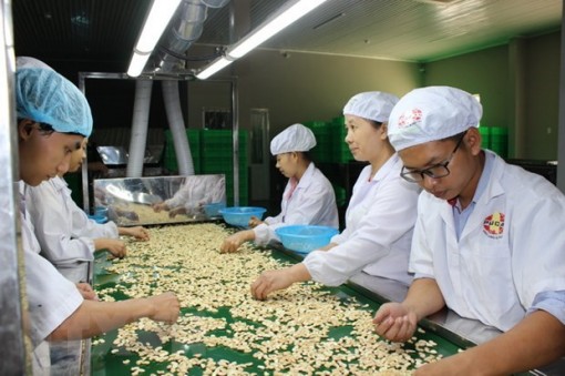 Tận dụng cơ hội từ EVFTA: Chủ động tạo giấy thông hành