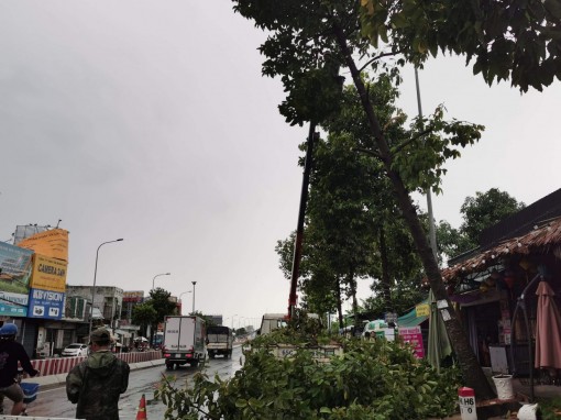 58 căn nhà bị sập, tốc mái và nhiều cây xanh đổ ngã do ảnh hưởng hoàn lưu cơn bão số 2