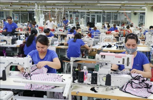 Séc đánh giá cao triển vọng giao thương với Việt Nam sau khi EVFTA có hiệu lực