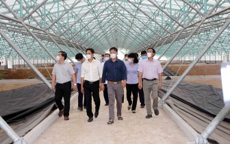 Phó Chủ tịch UBND tỉnh An Giang Trần Anh Thư khảo sát các dự án nông nghiệp ứng dụng công nghệ cao tại TX. Tân Châu, Châu Phú