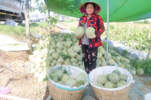 Ngành Nông nghiệp vượt khó